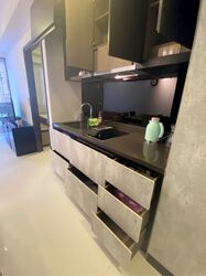 The Rise @ Oxley - Residences (D9), Apartment #562801281